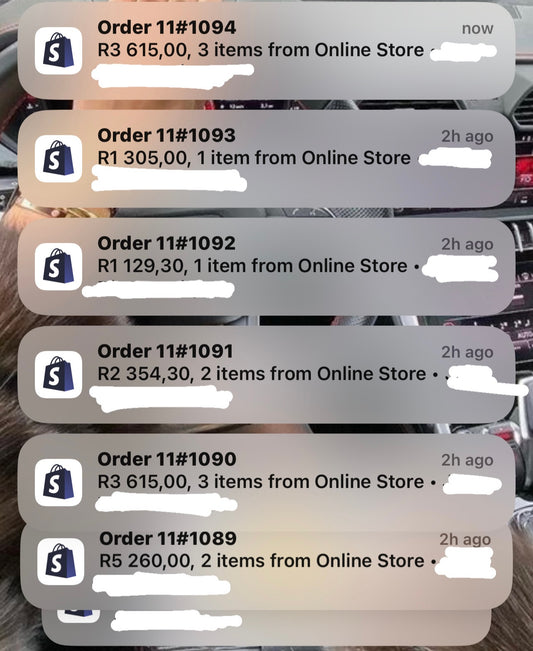 Dropshipping sales and guidance mentorship (monthly)