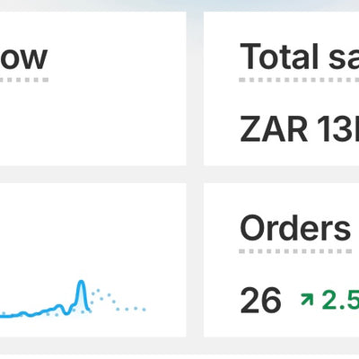 RMS - Launch in 72 hours 🔥 Ready-Made Dropshipping Store website ,products ,suppliers set up for you!,live classes!