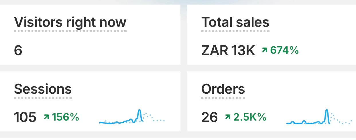 RMS - Launch in 72 hours 🔥 Ready-Made Dropshipping Store website ,products ,suppliers set up for you!,live classes!