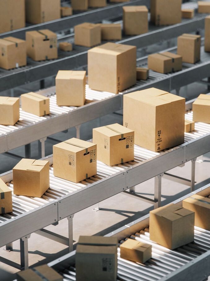 RMS - Launch in 72 hours 🔥 Ready-Made Dropshipping Store website ,products ,suppliers set up for you!,live classes!